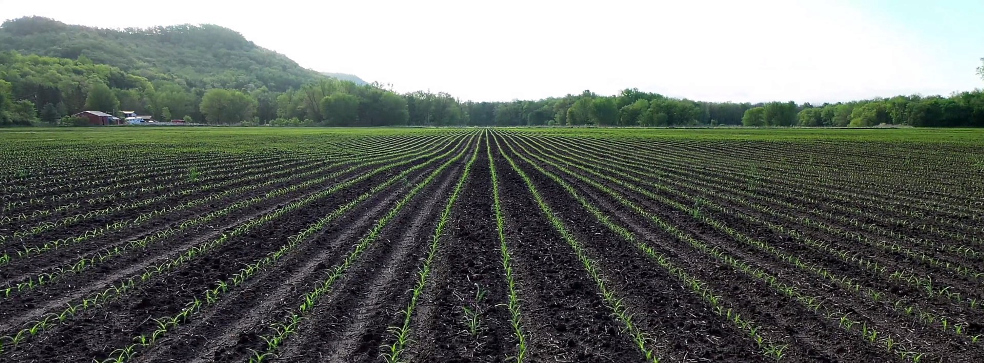 Investments in agriculture and bank financing of agribusiness Investments in agriculture and bank financing of agribusiness