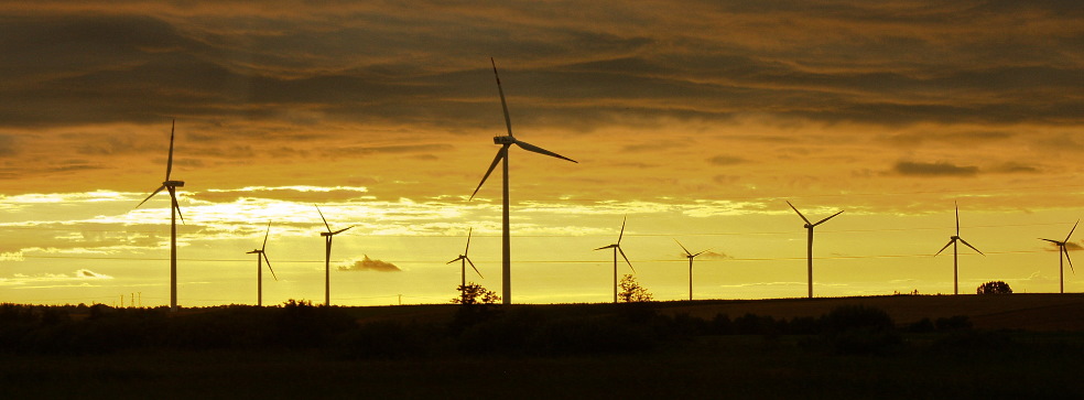Wind farm in Oman: 50 MW Dhofar WPP Wind farm in Oman: 50 MW Dhofar WPP