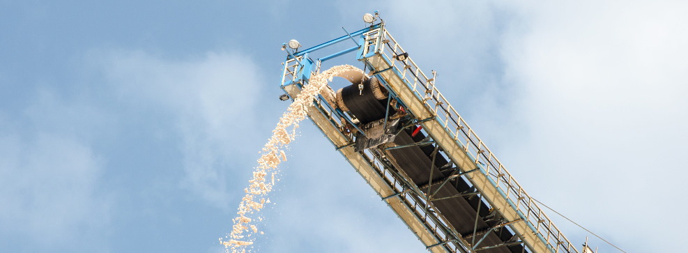 Engineering design of mineral fertilizer plants under the EPC contract Engineering design of mineral fertilizer plants under the EPC contract