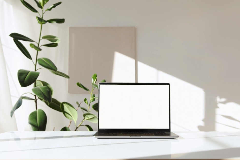 Direct foreign investments in innovative projects and business Direct foreign investments in innovative projects and business